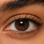 A dark brown Egyptian iris photographed close up, with no lens