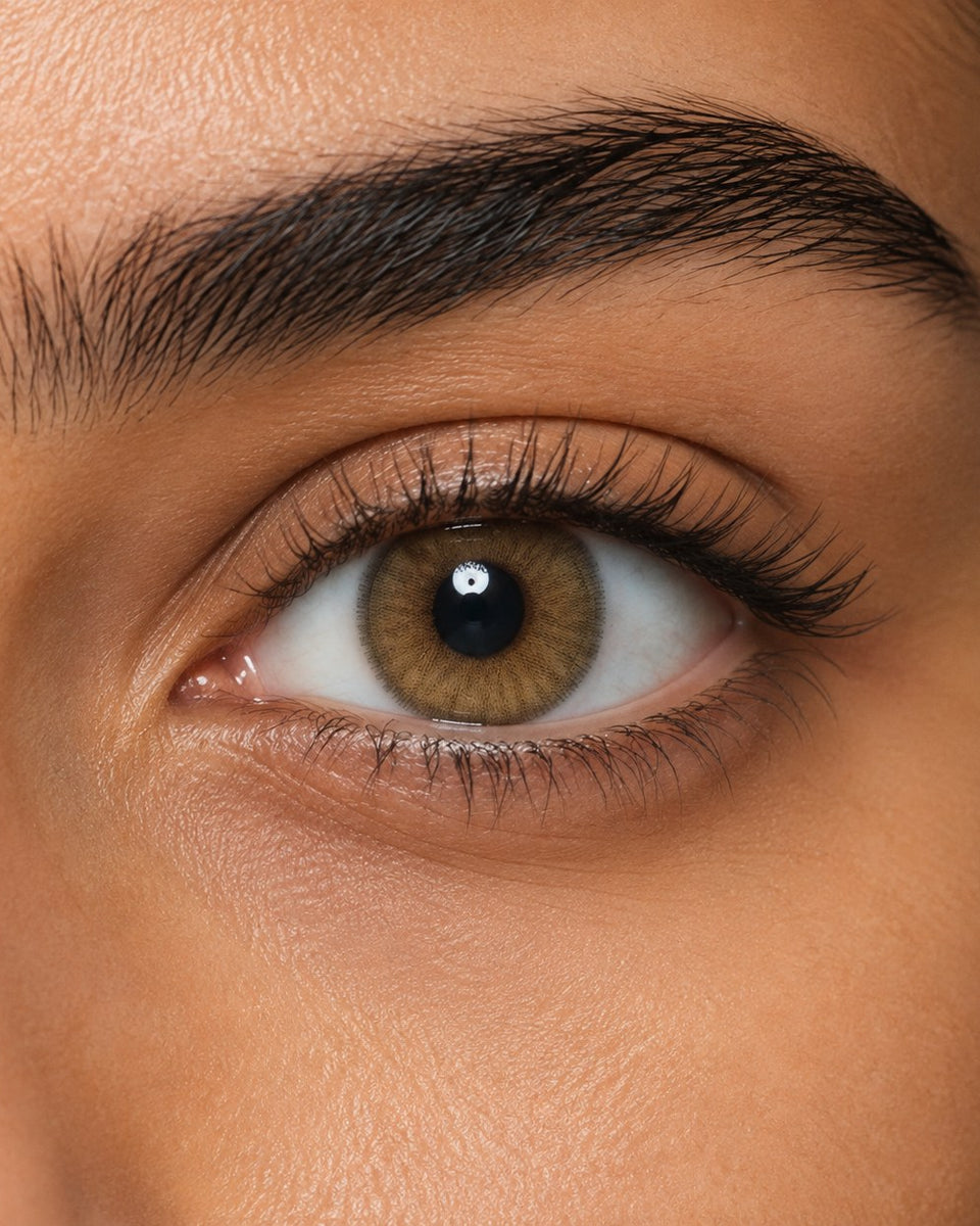 Bella Cova coloured contact lens shown on a dark brown eye