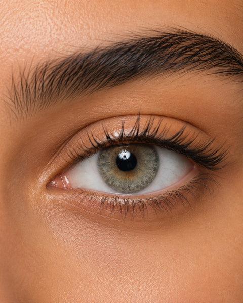 Bella Gray Olive coloured contact lens shown on a dark brown eye