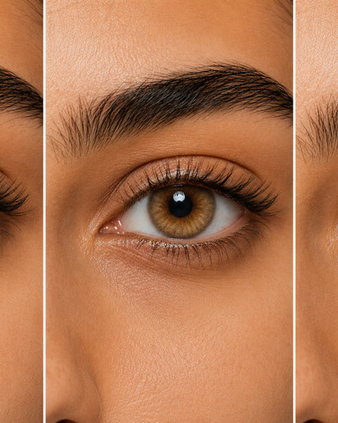 Sepia, Bella Cova and Lolite shown side by side on the same dark brown Egyptian eye