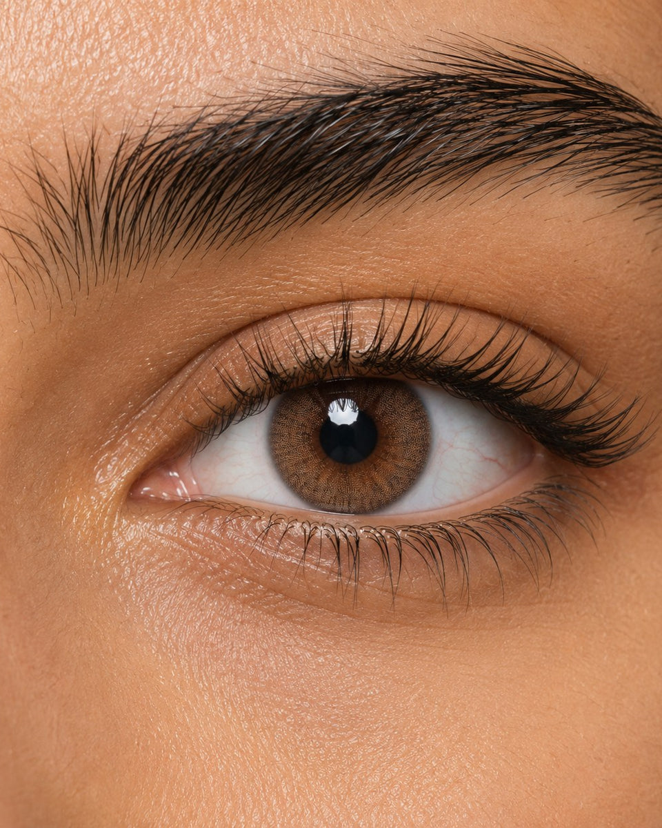 Urban Layer Angeles N Brown coloured contact lens shown on a dark brown eye